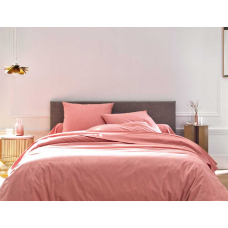 Drap Housse Avenir Corail