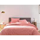 Drap Housse Avenir Corail