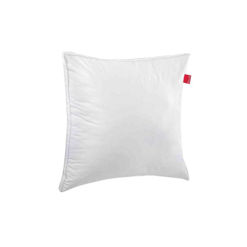 Lot de 2 Oreillers 60x60 cm - Tissu Aloe-Vera Frais - Soulagement de la  Pression - Coussin Doux et Rafraîchissant - Rembourrage Copeaux de Mousse  HR