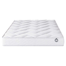 Ensemble Bultex nano Already