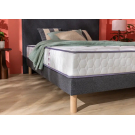 Ensemble Merinos Cheer Bed