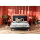 Ensemble Merinos Cheer Bed