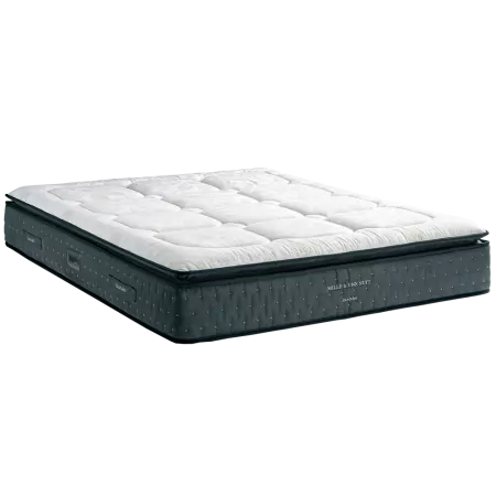 Matelas Duvivier Poussière...